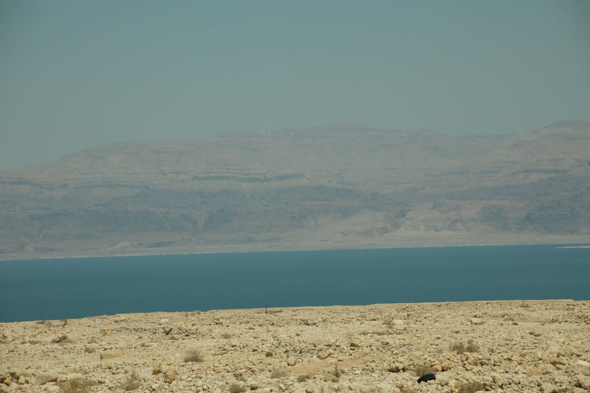 טיול דרך המצלמה לים המלח והנחלים באזור