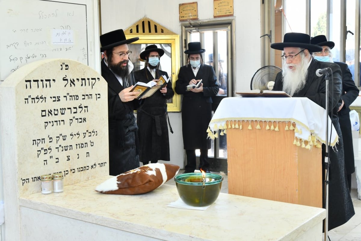 בצאנז ציינו את הילולת ה'שפע חיים'  זיע"א