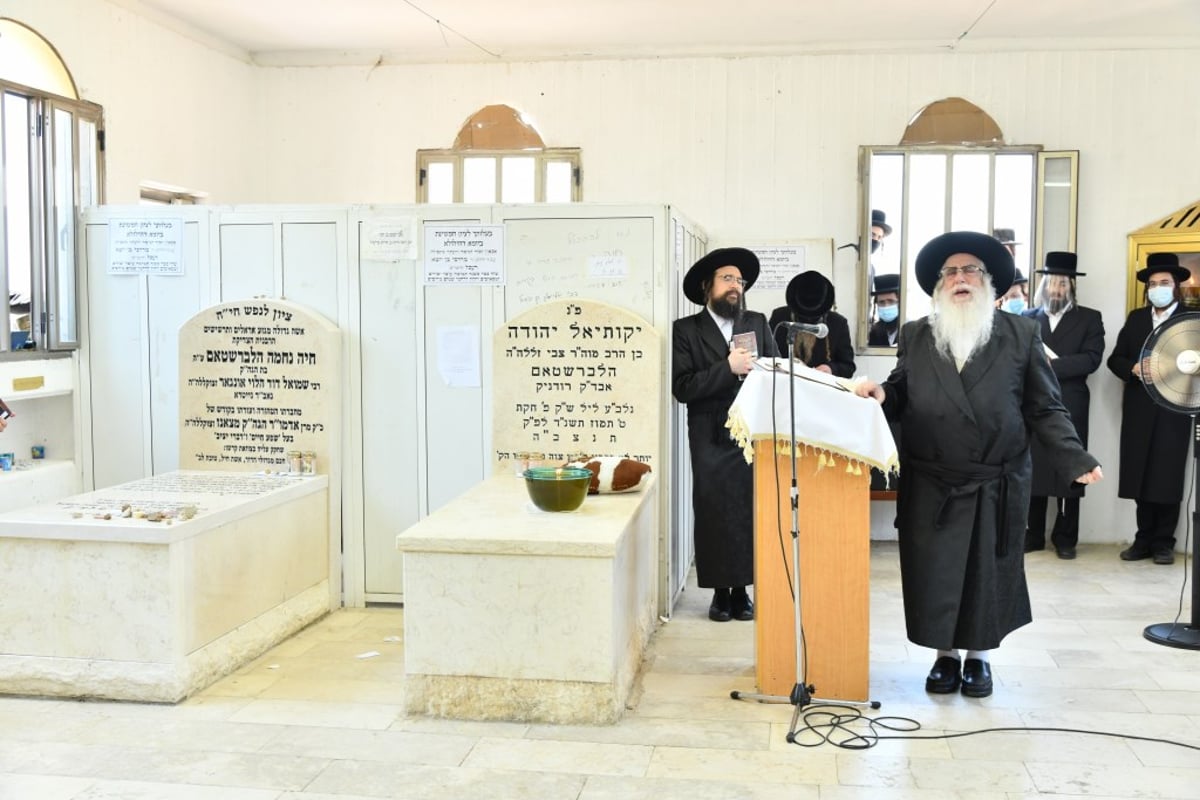 בצאנז ציינו את הילולת ה'שפע חיים'  זיע"א