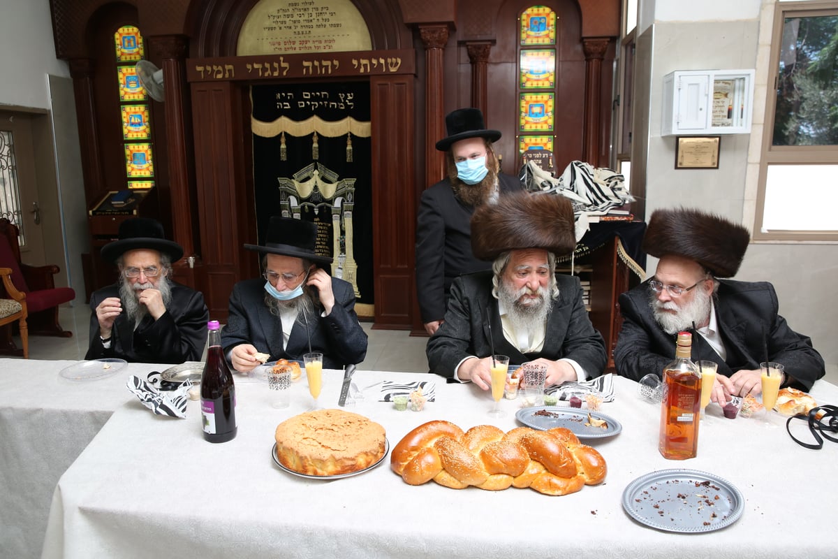 בצפת חגגו ברית לנכד האב"ד והנגיד • צפו