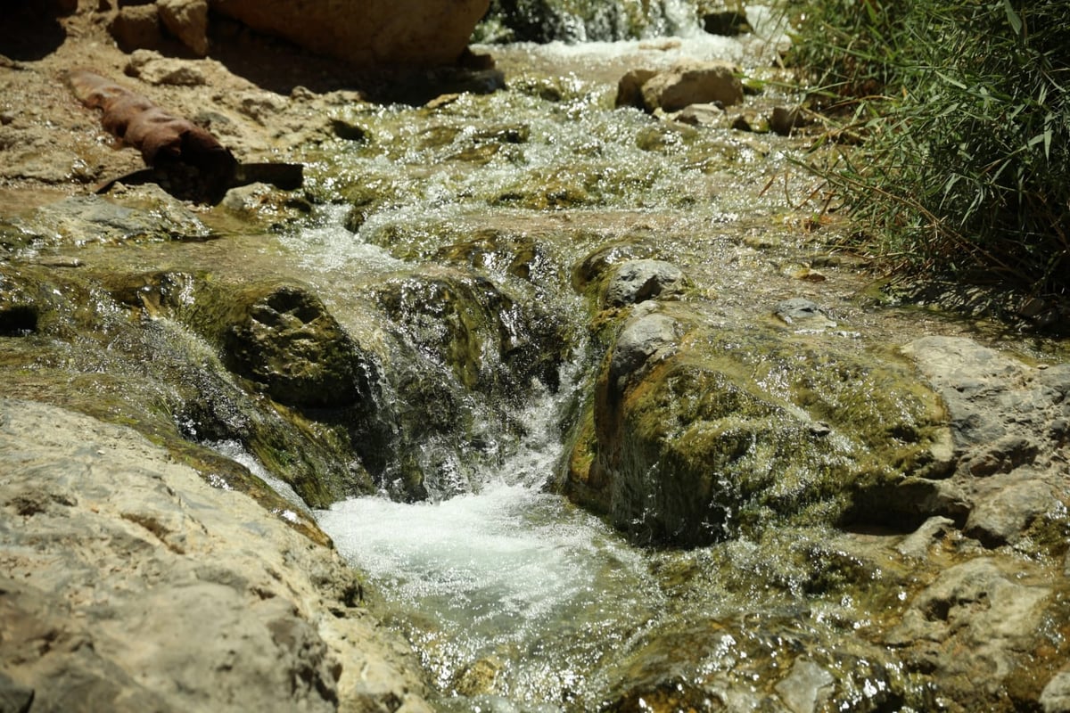 אזור 'הנהר הסודי' בגלריה מרהיבה במיוחד