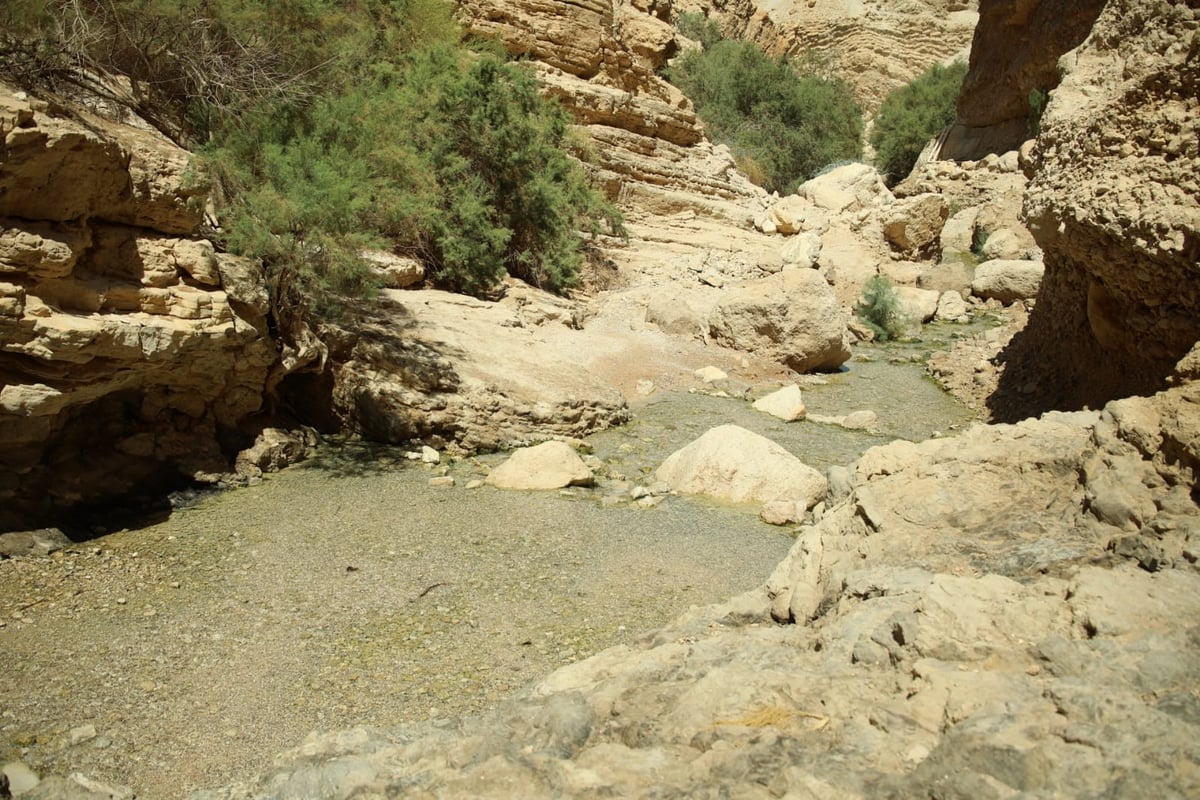 אזור 'הנהר הסודי' בגלריה מרהיבה במיוחד