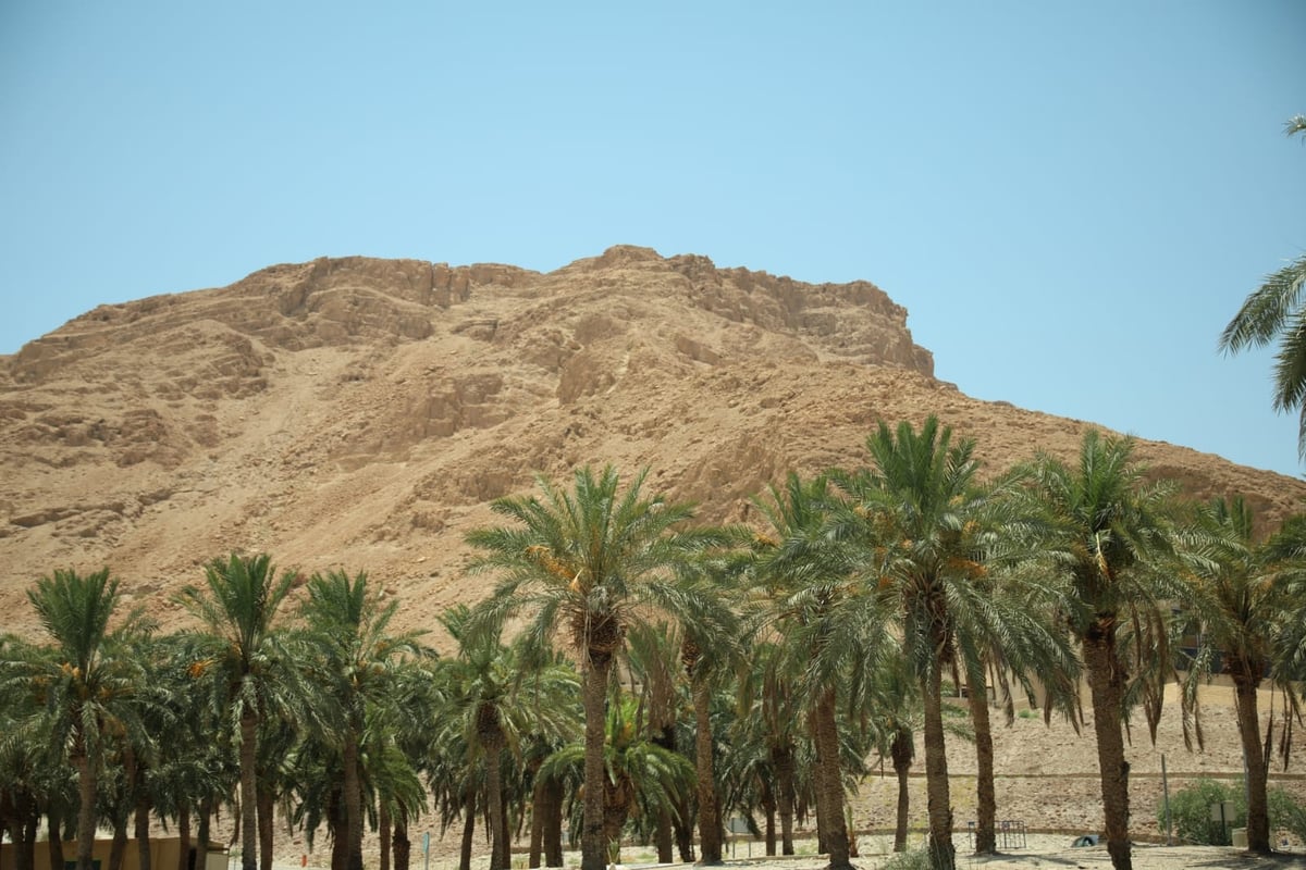 אזור 'הנהר הסודי' בגלריה מרהיבה במיוחד