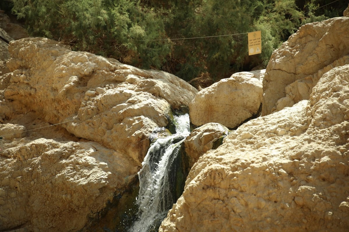 אזור 'הנהר הסודי' בגלריה מרהיבה במיוחד