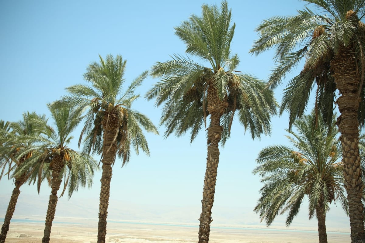 אזור 'הנהר הסודי' בגלריה מרהיבה במיוחד