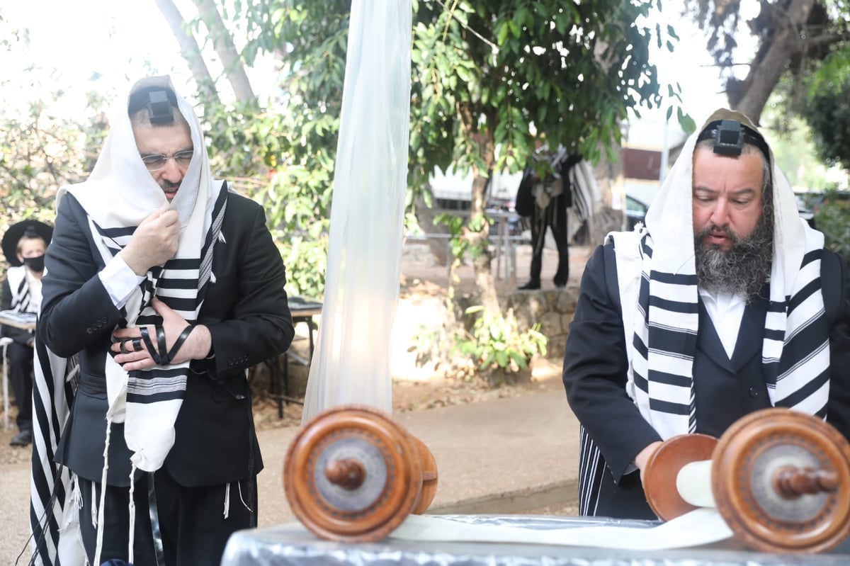 ה'חזונאישניקים' חזרו למנייני החצרות • צפו