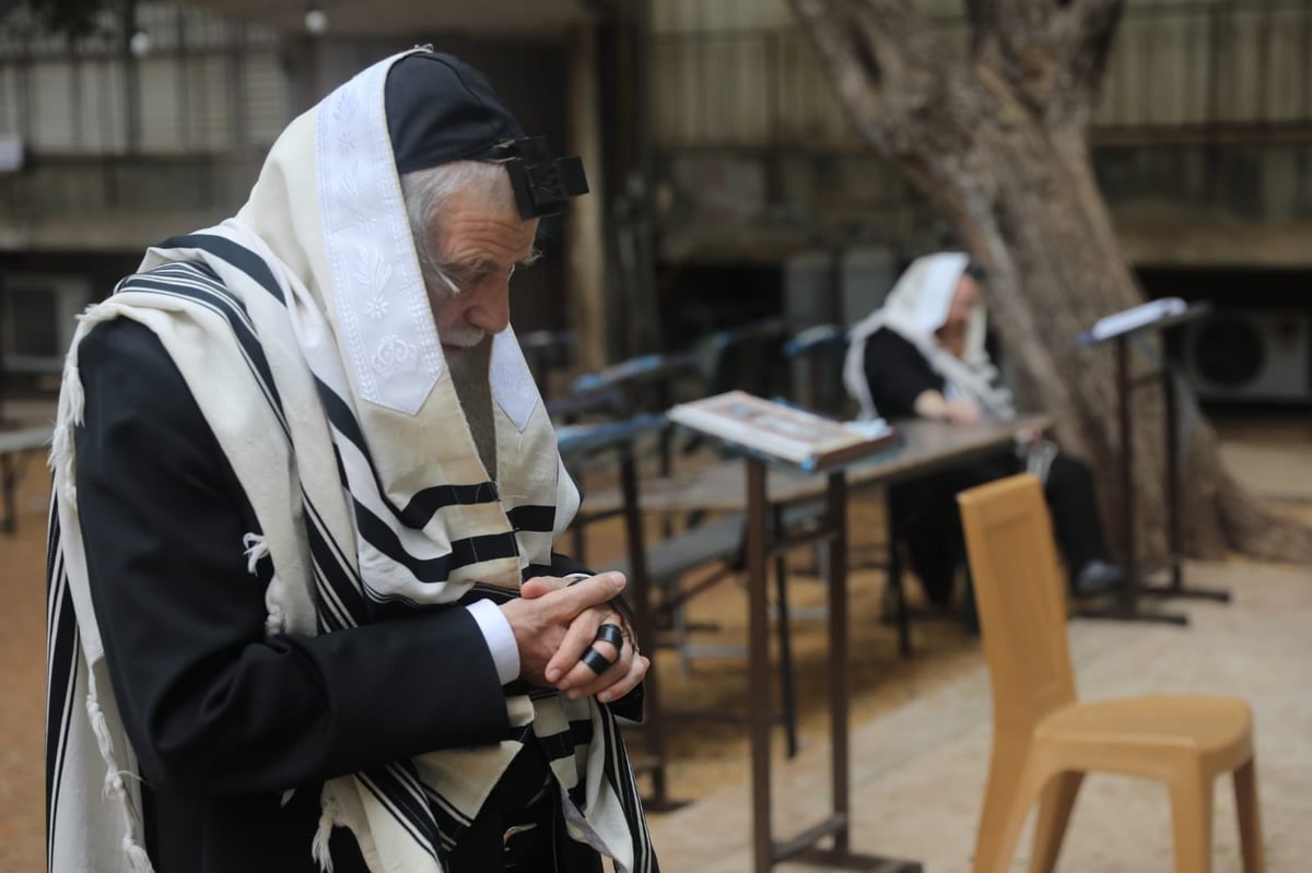 ה'חזונאישניקים' חזרו למנייני החצרות • צפו