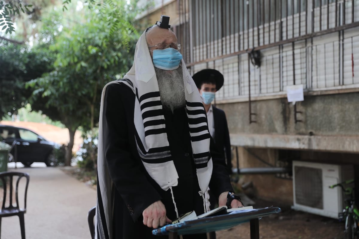 ה'חזונאישניקים' חזרו למנייני החצרות • צפו