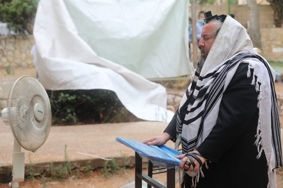 ה'חזונאישניקים' חזרו למנייני החצרות • צפו