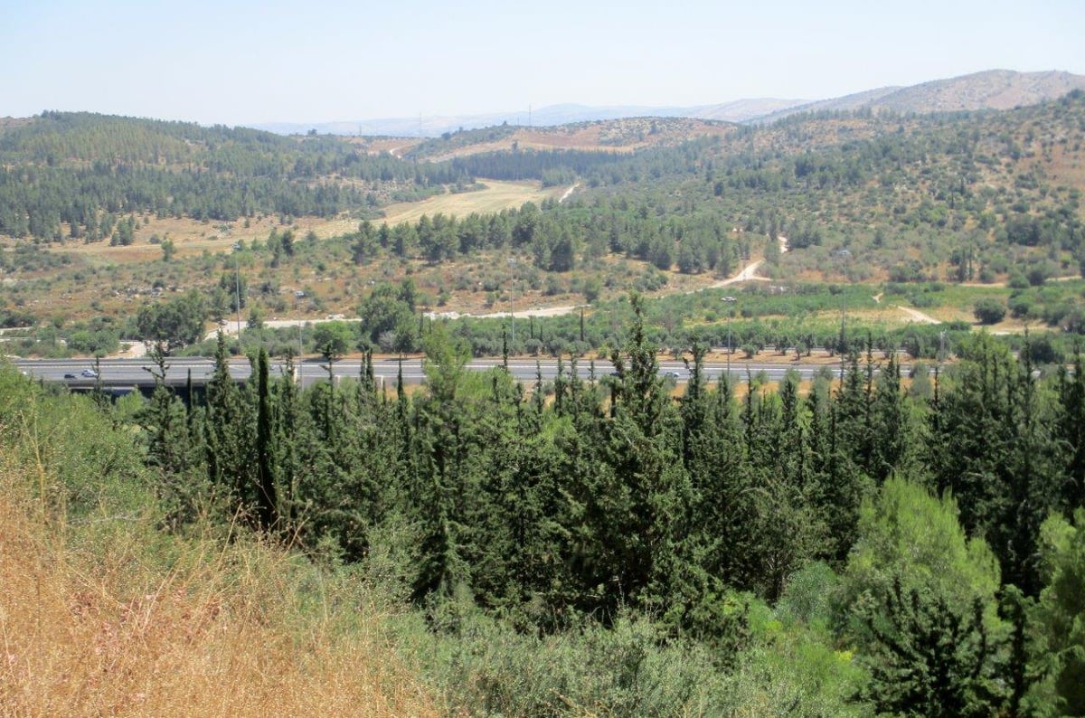 טיול דרך עדשת המצלמה ל'דרך בורמה'