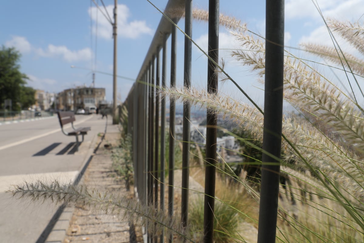 מהרכבל: תיעוד מרהיב של הים והעיר חיפה