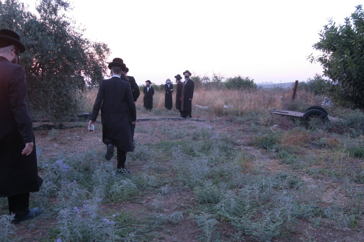 הילולה מצומצמת לצדיק רבי יצחק גברא זי"ע