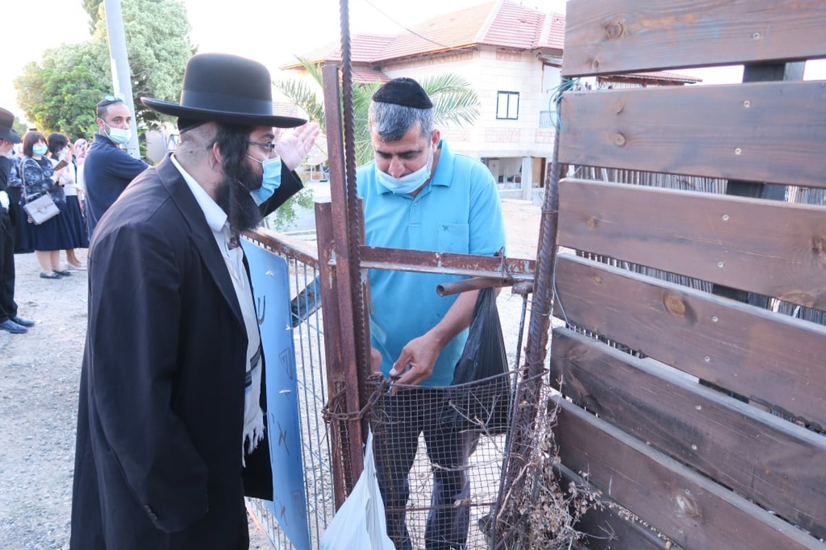 הילולה מצומצמת לצדיק רבי יצחק גברא זי"ע