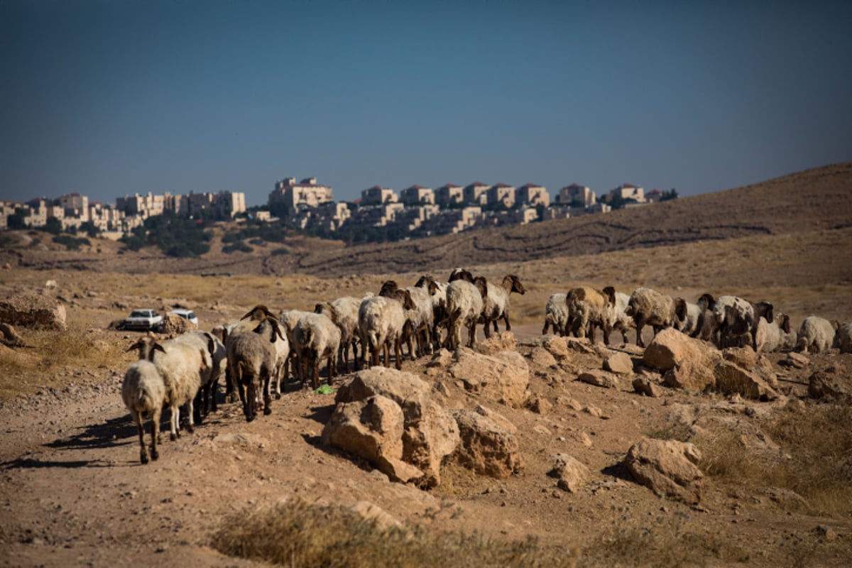 מדבר יהודה