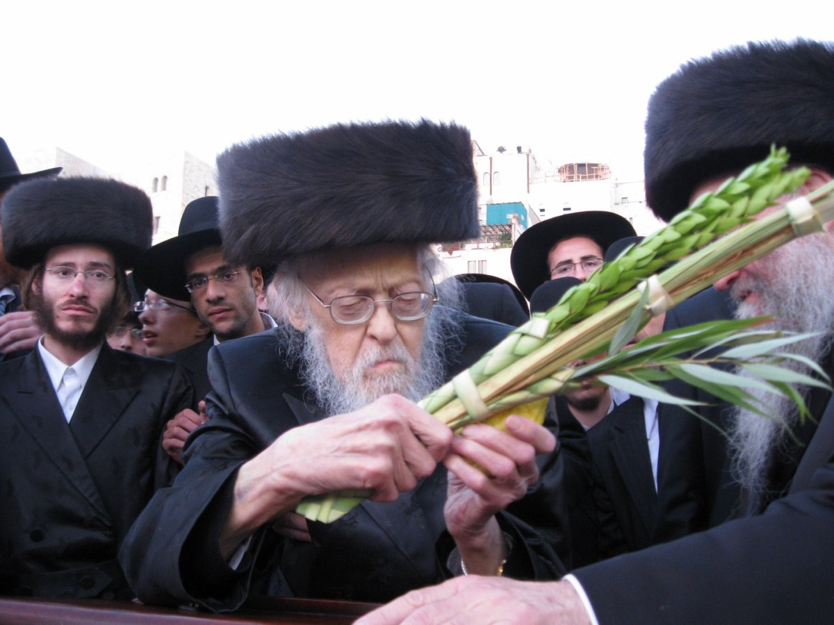 שמונה שנות יתמות: מראות מחיי מרן הגרי"ש אלישיב זצ"ל