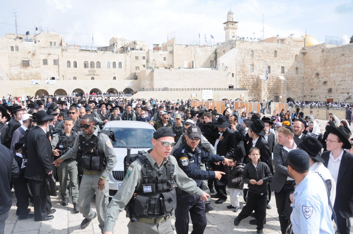 שמונה שנות יתמות: מראות מחיי מרן הגרי"ש אלישיב זצ"ל