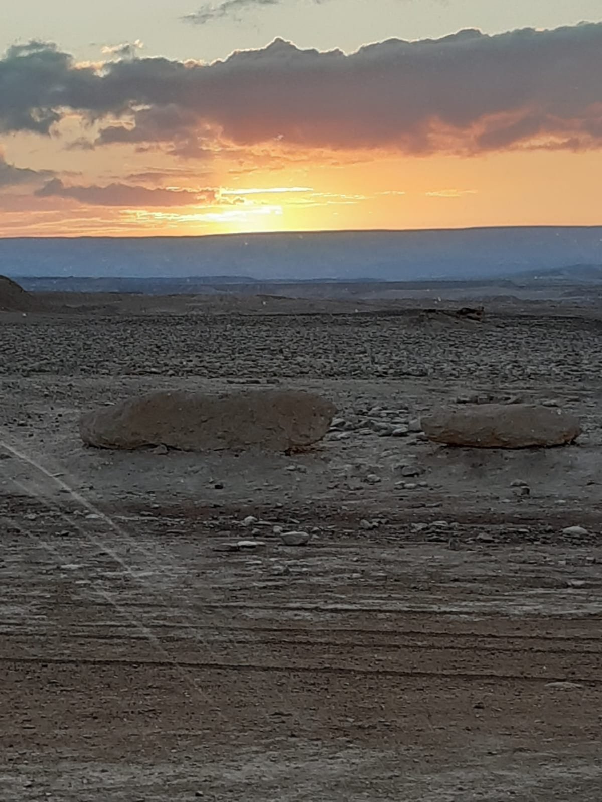 שדה הבולבוסים בהר צין