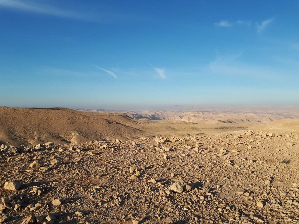 מבט ממצד צפיר לשדה הבולבוסים/שדה צין