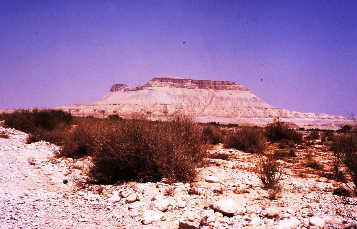 הר צין במבט מנחל צין, הור ההר