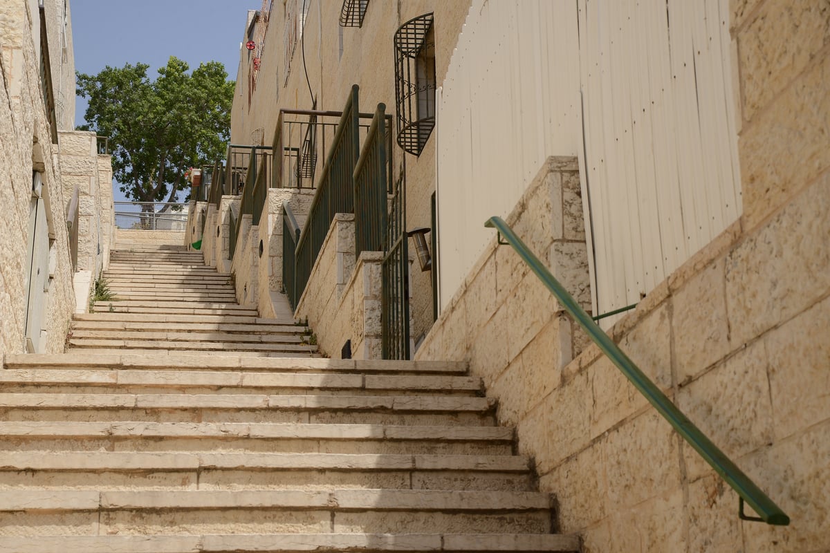 יום שרבי במיוחד בשכונת רמת שלמה • צפו