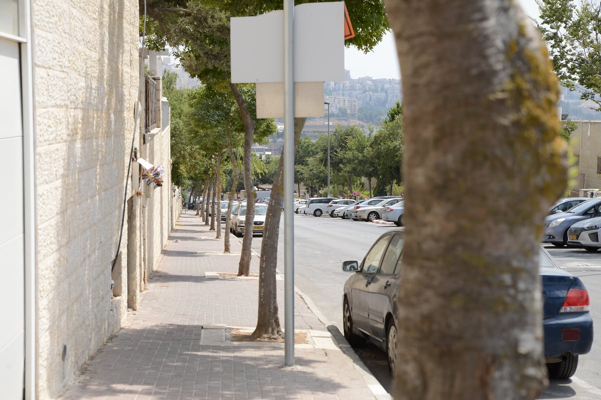 יום שרבי במיוחד בשכונת רמת שלמה • צפו