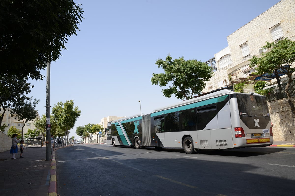 יום שרבי במיוחד בשכונת רמת שלמה • צפו