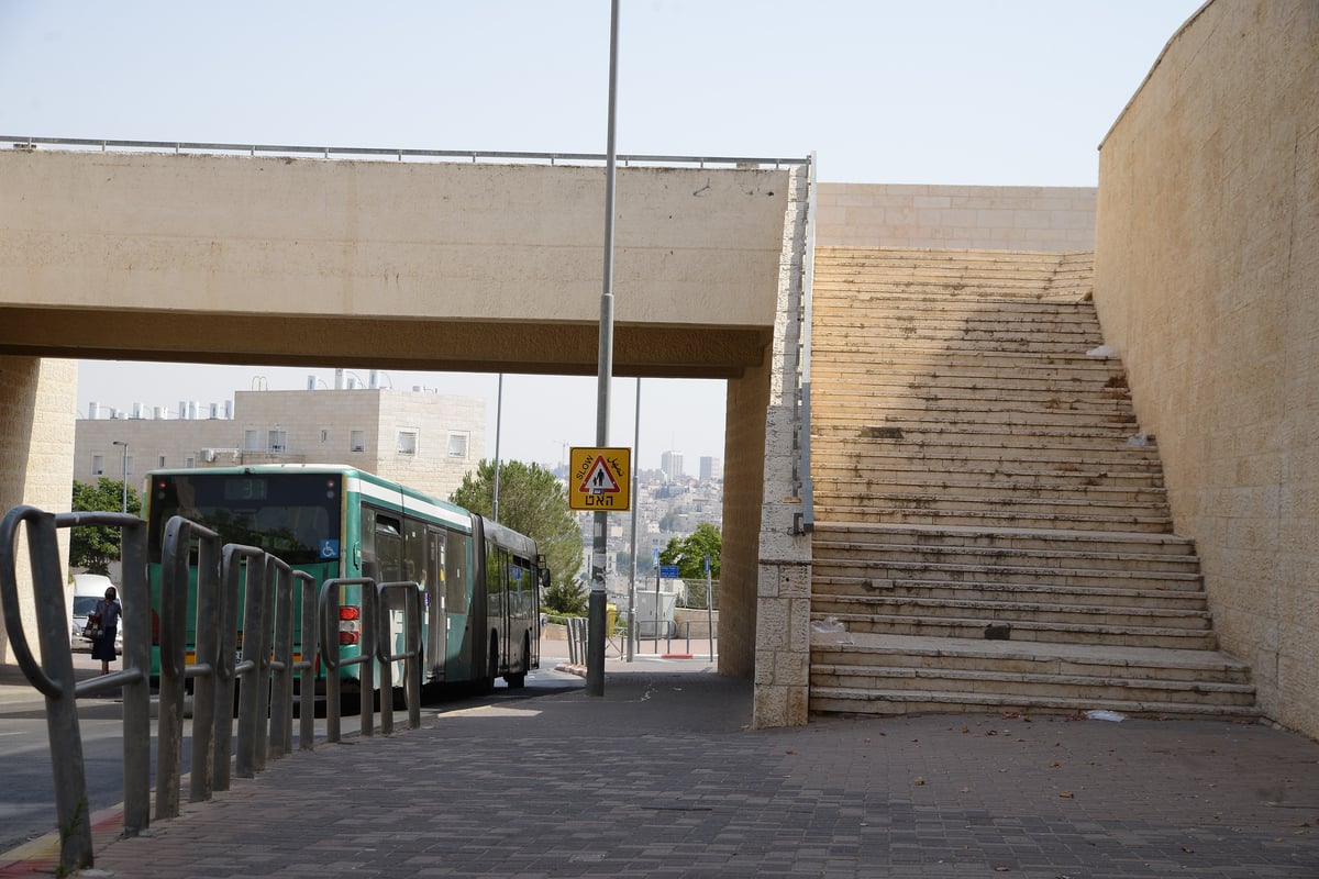 יום שרבי במיוחד בשכונת רמת שלמה • צפו