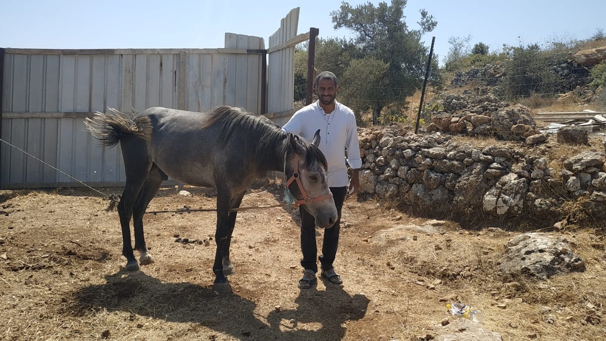 משעשע: תלמידים העניקו סוס למורה הדתי