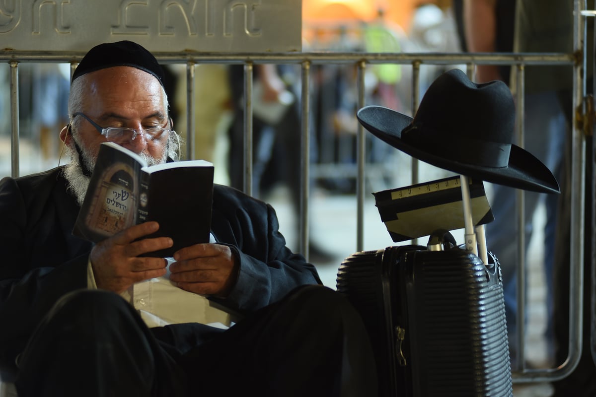 ליל תשעה באב בכותל המערבי • תיעוד מסכם