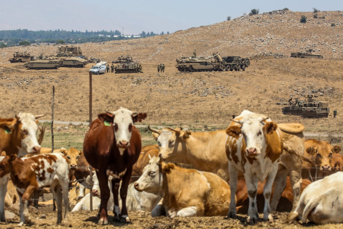 תיעוד מיוחד: חיילי צה"ל בתרגיל צבאי ברמת הגולן