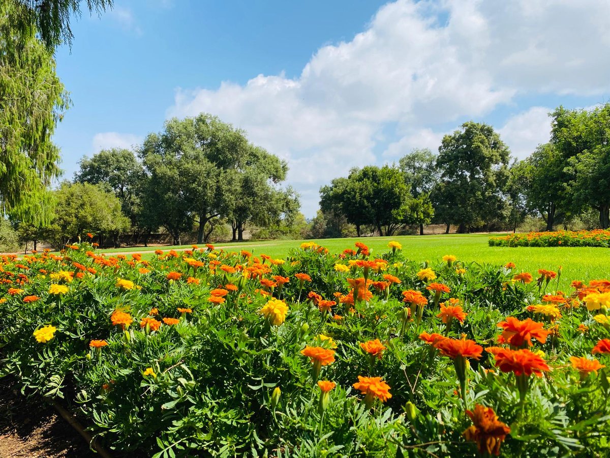 גלריה מרהיבה מגן רמת הנדיב בזכרון יעקב