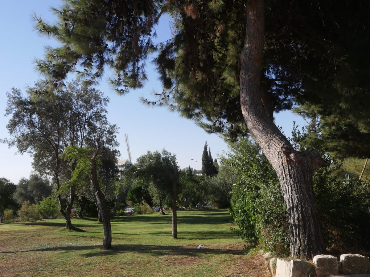 סיור שונה בשכונה הציורית 'ימין משה' • צפו