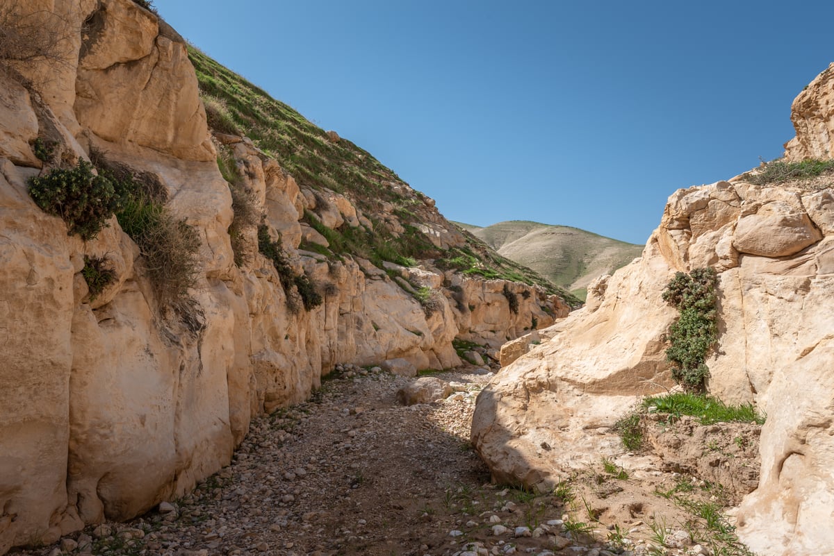 מדבר יהודה