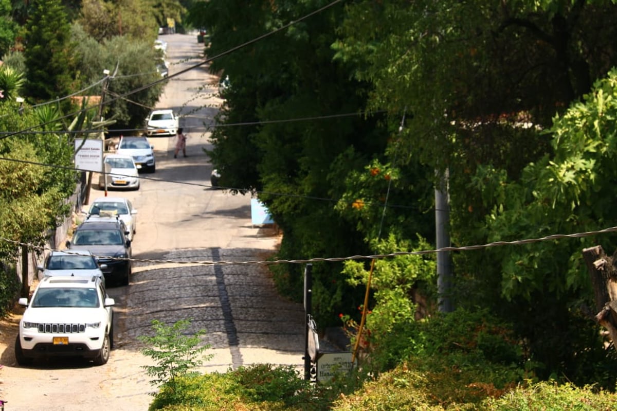 לקול צלילי הפעמונים: תיעוד מרהיב מהצפון