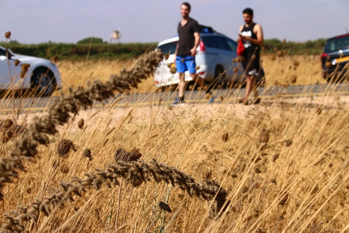 לקול צלילי הפעמונים: תיעוד מרהיב מהצפון