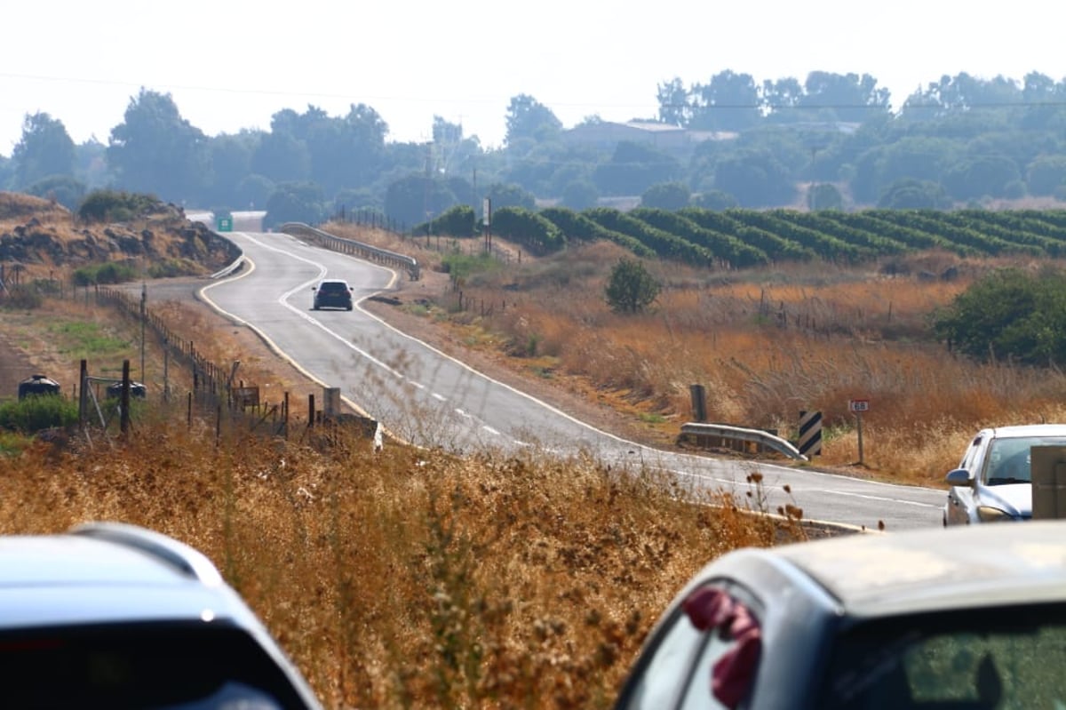 לקול צלילי הפעמונים: תיעוד מרהיב מהצפון