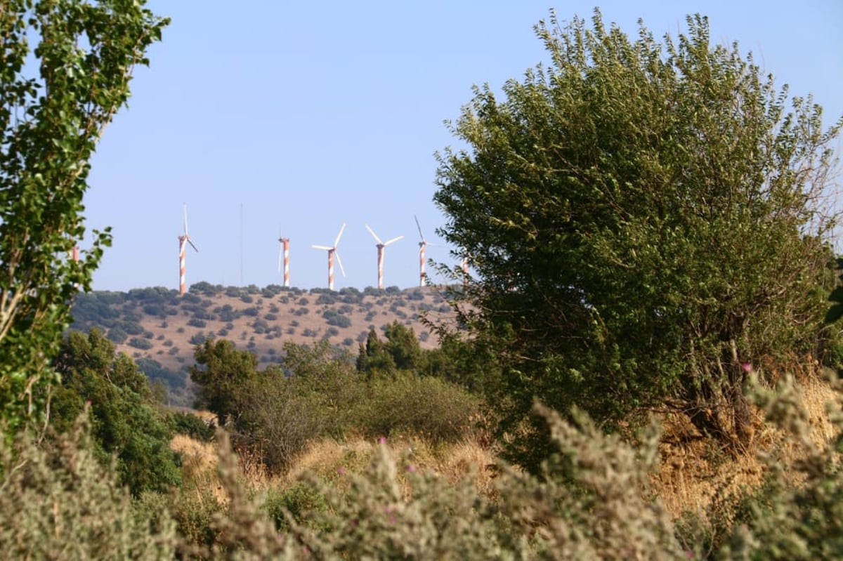 לקול צלילי הפעמונים: תיעוד מרהיב מהצפון