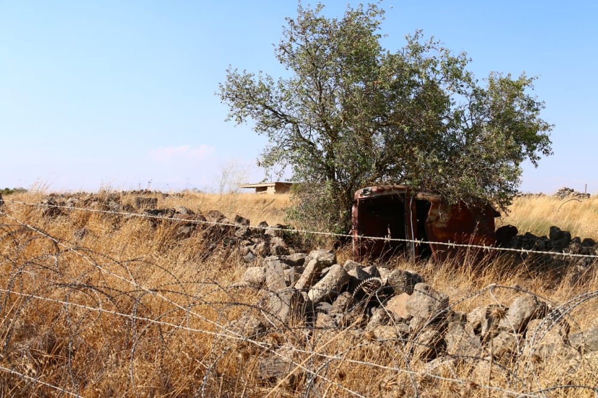 לקול צלילי הפעמונים: תיעוד מרהיב מהצפון