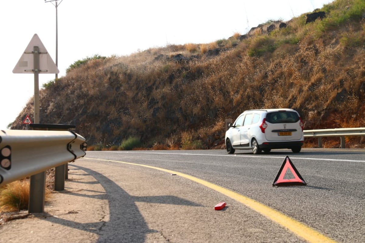 לקול צלילי הפעמונים: תיעוד מרהיב מהצפון