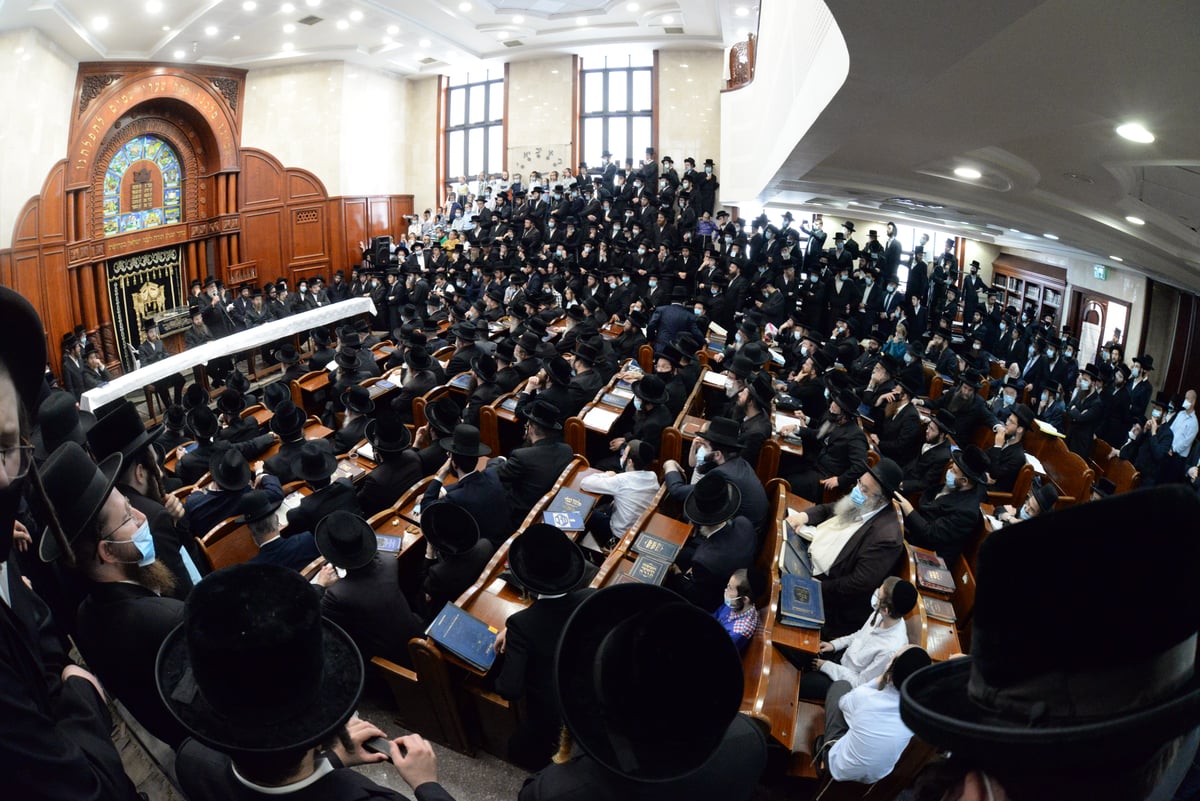 חסידי סאדיגורה בעצרת התעוררות • תיעוד