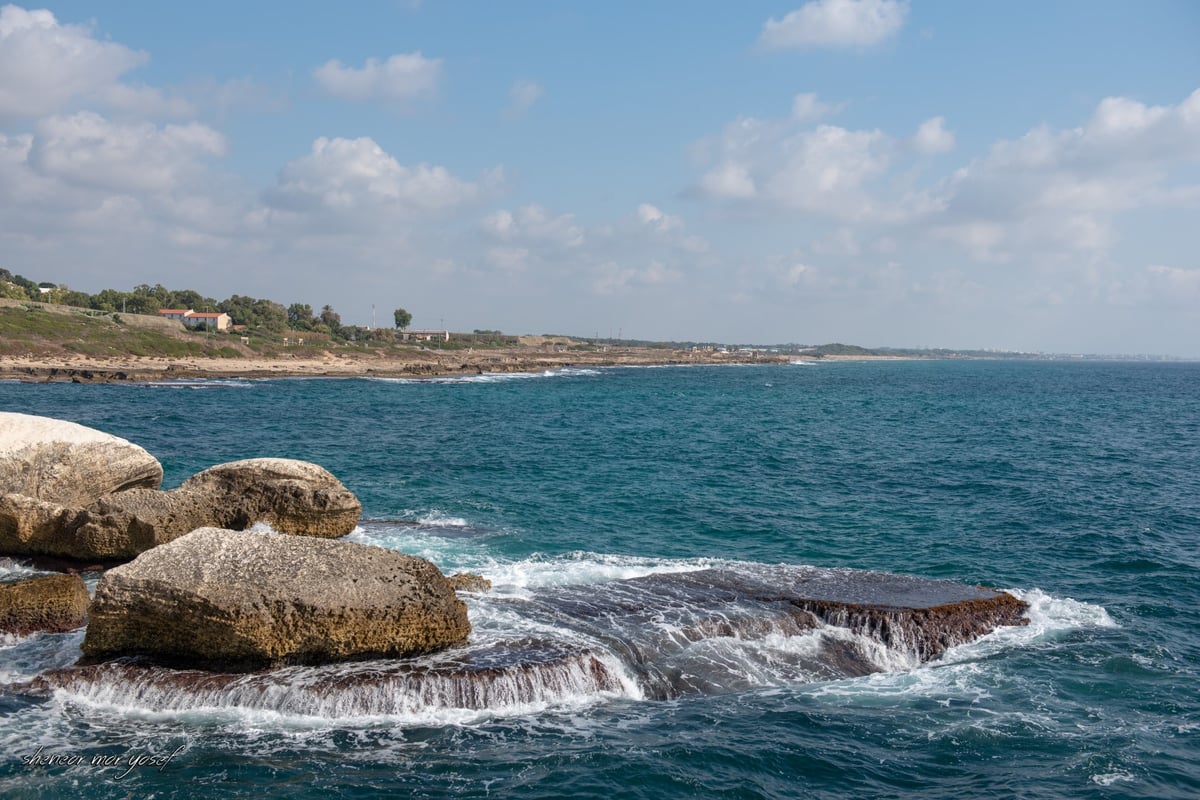 וואו: תיעוד מדהים משמורת "ראש הנקרה"