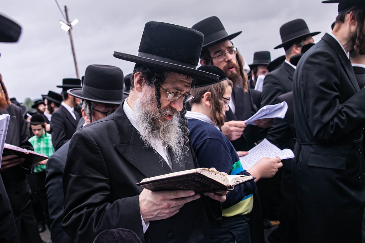 בהילולה: כתיבת ספר תורה לזכר המתים מקורונה