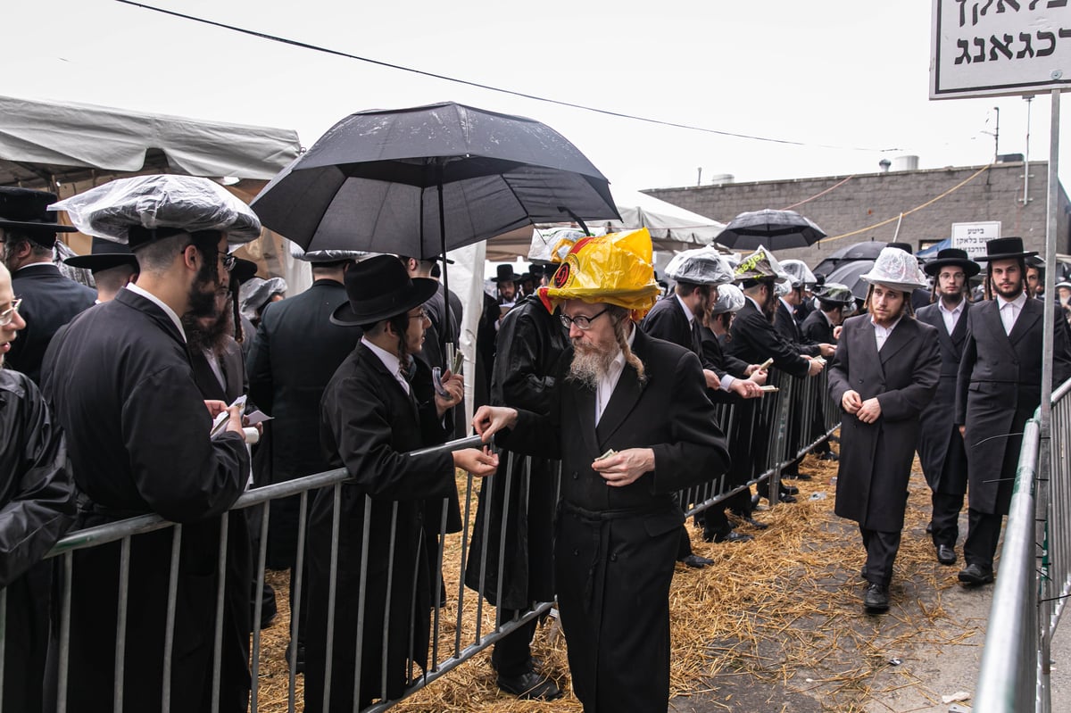 בהילולה: כתיבת ספר תורה לזכר המתים מקורונה