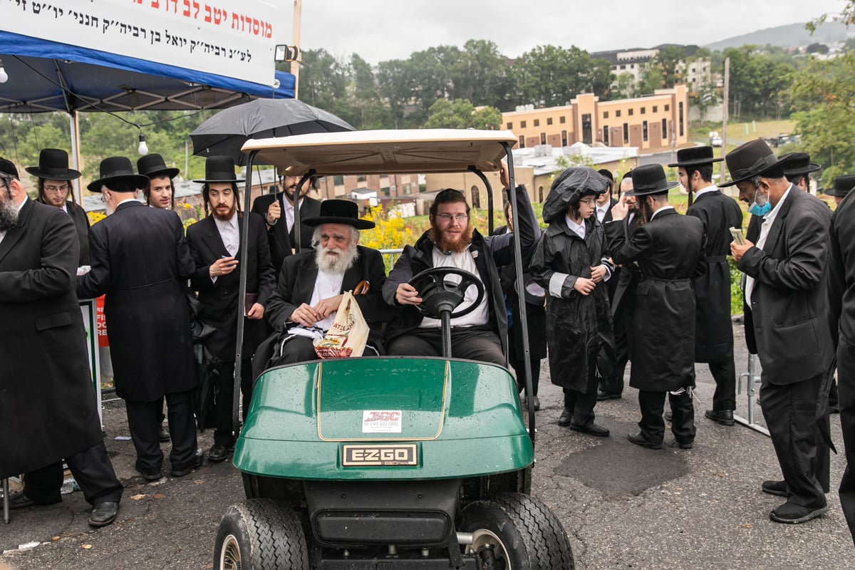 בהילולה: כתיבת ספר תורה לזכר המתים מקורונה