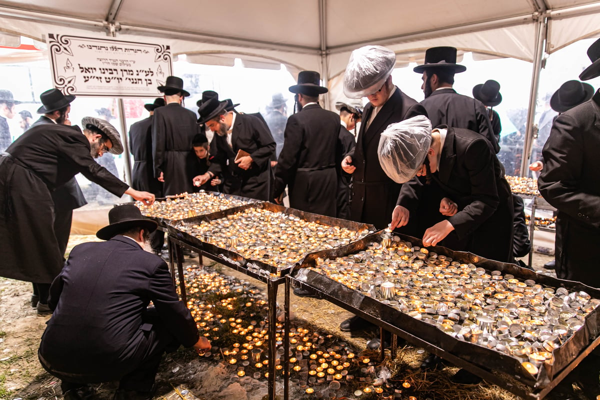 בהילולה: כתיבת ספר תורה לזכר המתים מקורונה