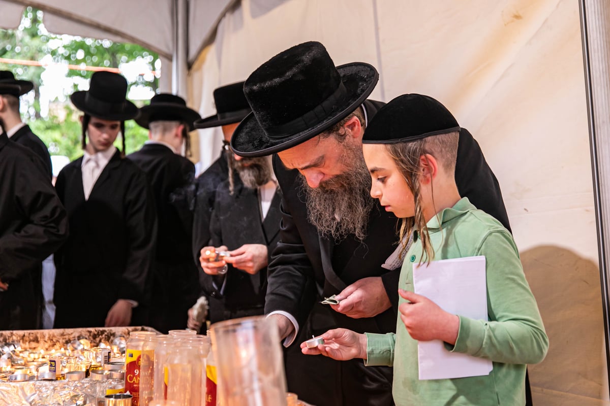 בהילולה: כתיבת ספר תורה לזכר המתים מקורונה