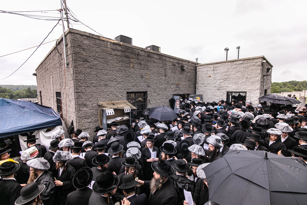 בהילולה: כתיבת ספר תורה לזכר המתים מקורונה