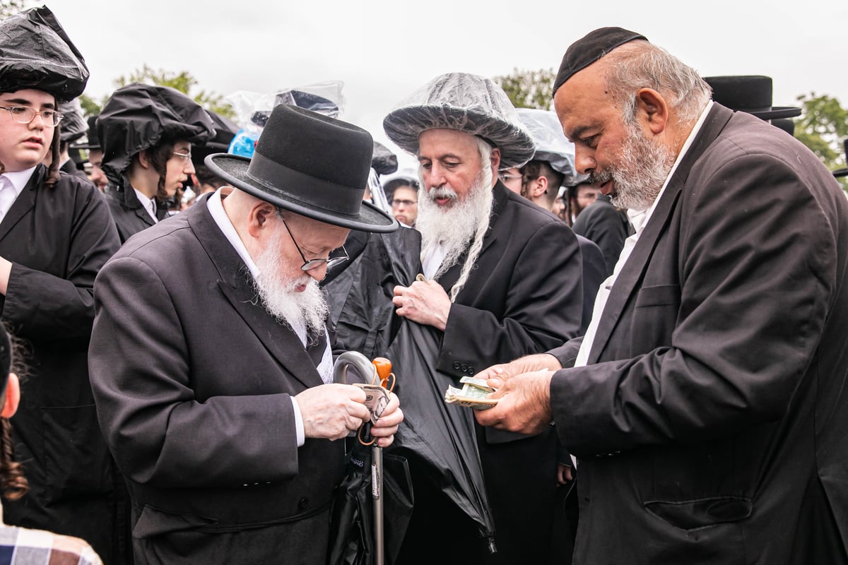 בהילולה: כתיבת ספר תורה לזכר המתים מקורונה