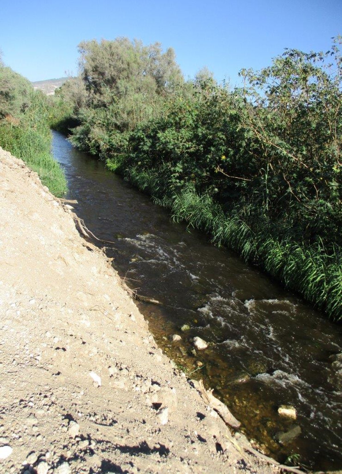 טיול דרך עדשת המצלמה בהרי יהודה הירוקים