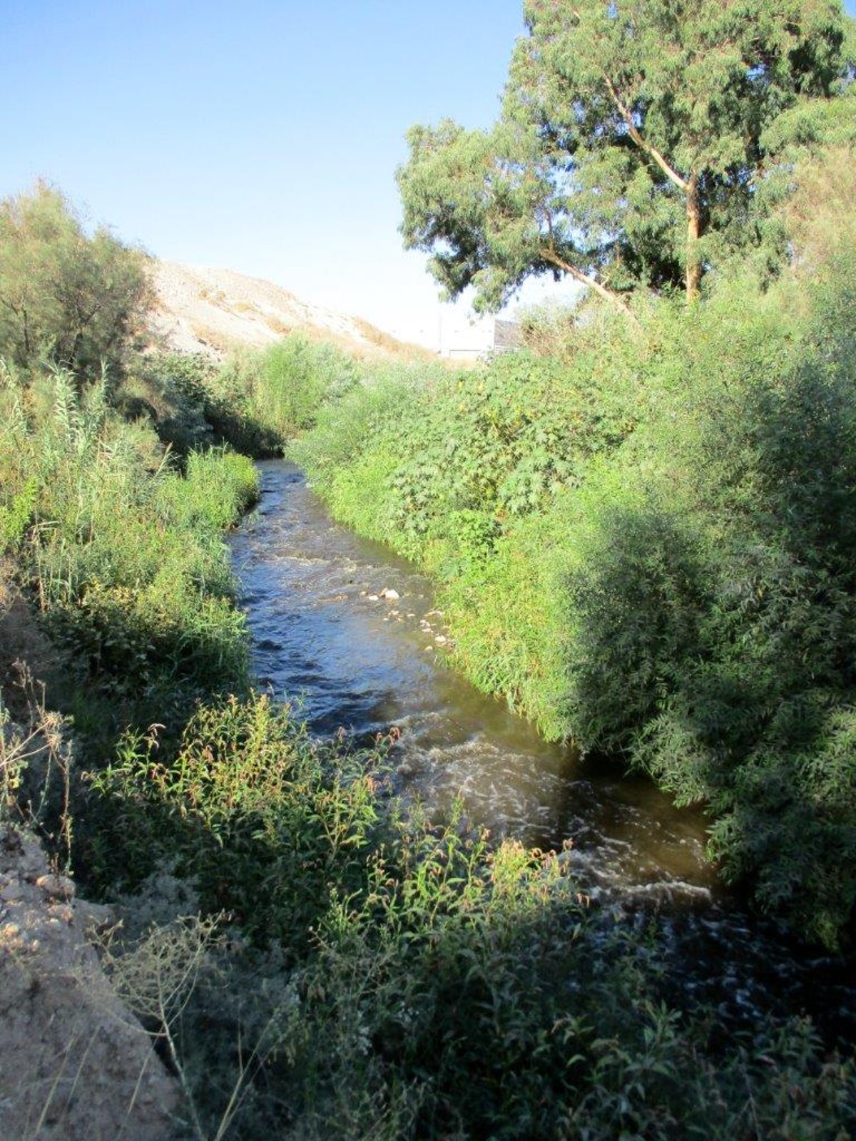 טיול דרך עדשת המצלמה בהרי יהודה הירוקים